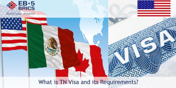 tn-visa-guide-definition-requirements-application-and-process